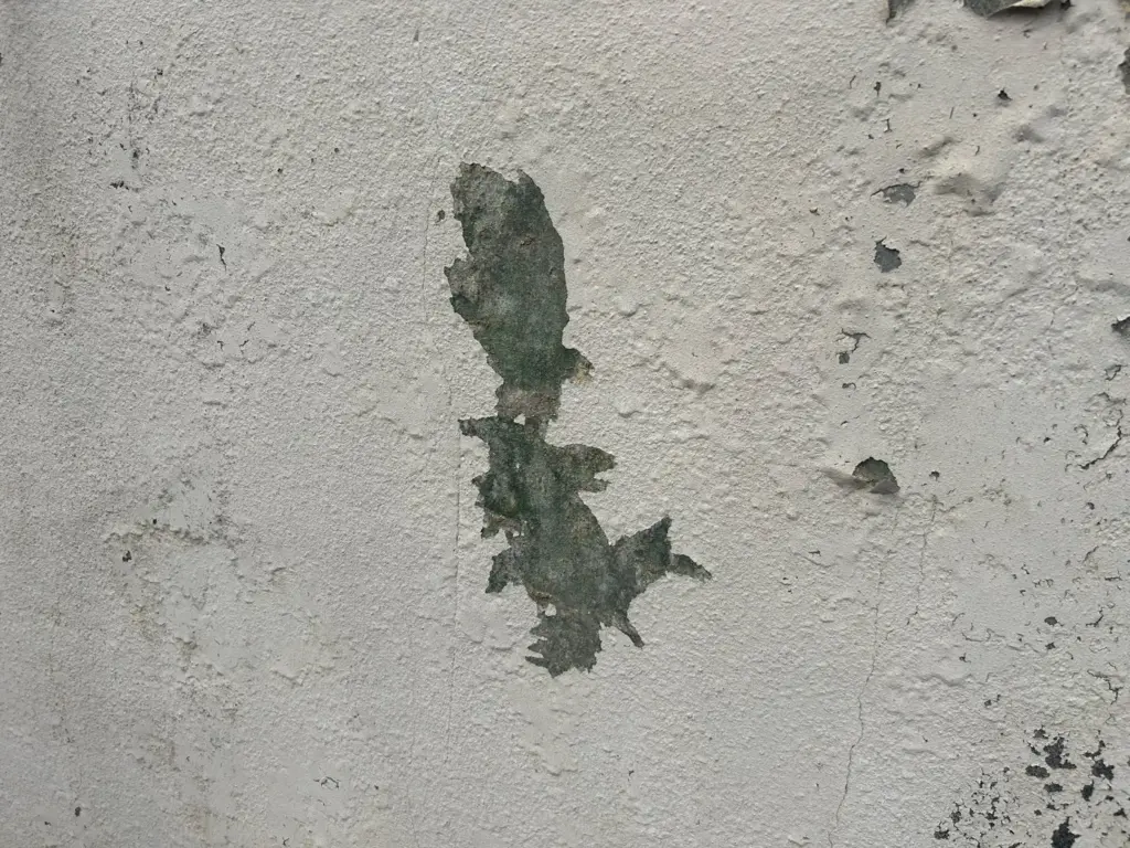 施工事例/町田市/外壁塗装/外壁塗装専門店/ワンリフォーム/雨樋取替/雨樋/火災保険/高圧洗浄